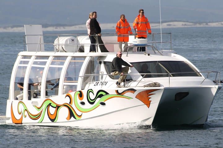 Land-Based Whale Watching in Hermanus — Southern Right Whales & Cliff Path Views photo 4