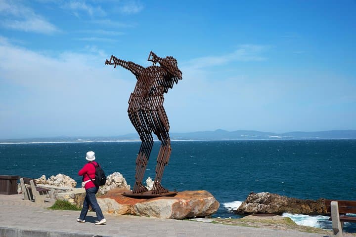 Land-Based Whale Watching in Hermanus — Southern Right Whales & Cliff Path Views photo 6