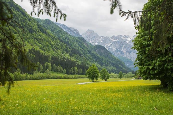 Logar Valley & Rinka Waterfall Day Tour from Bled — Private Alpine Escape photo 2