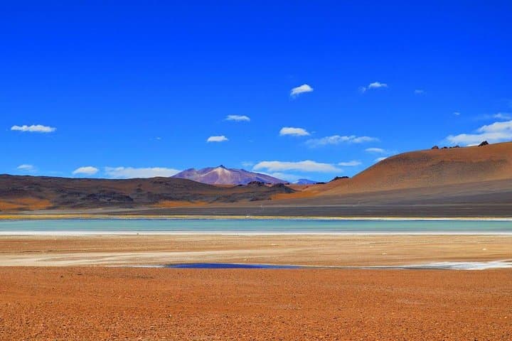 Laguna Cejar, Ojos del Salar & Tebinquinche — Semi-Private Salt-Flat Tour from San Pedro de Atacama photo 5