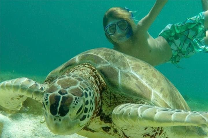 Snorkel with Sea Turtles and Pizza Pi: St. Thomas to St. John Catamaran Sunset Sail photo 2