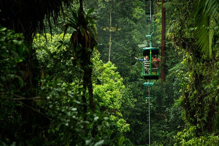 Exploring Costa Rica’s Braulio Carrillo National Park: Aerial Tram and Rainforest Gardens Adventure photo 3