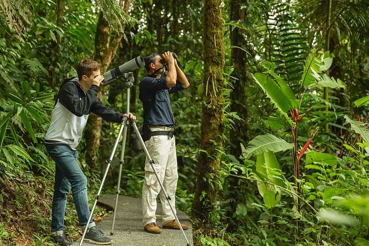 Braulio Carrillo Bird-Watching Day Trip: Aerial Tram & Rainforest Sanctuary photo 3