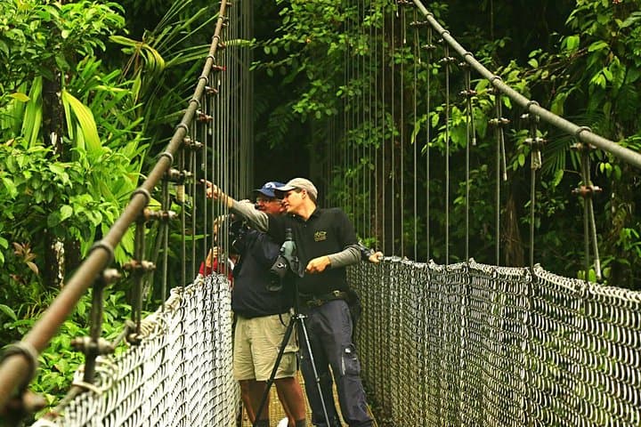 Hanging Bridges and La Fortuna Waterfall: Mistico Park, Arenal Views & Farm Lunch photo 4