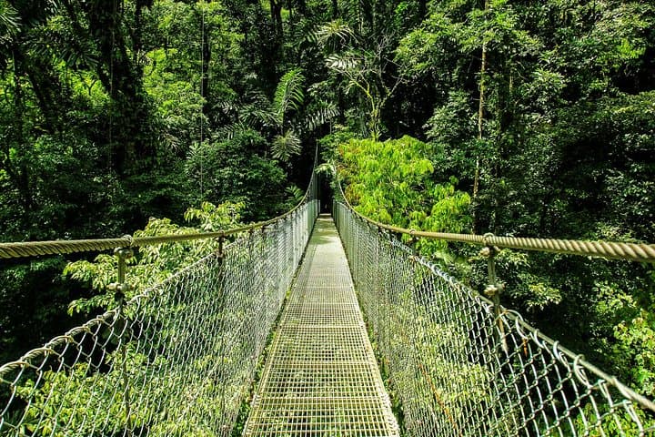 Hanging Bridges and La Fortuna Waterfall: Mistico Park, Arenal Views & Farm Lunch photo 2