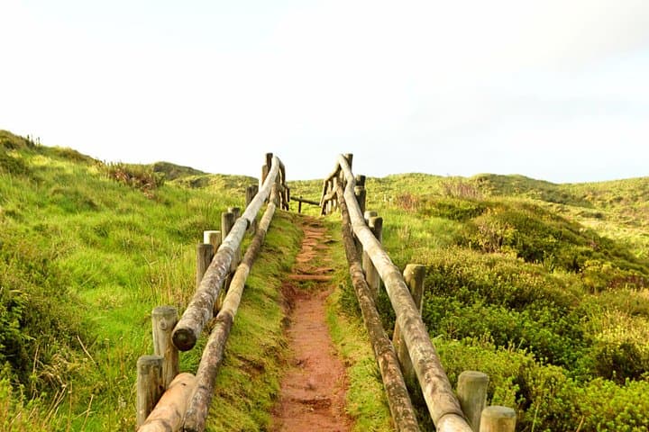Mistérios Negros Trail: Half‑Day Volcanic Hike on Terceira Island photo 5