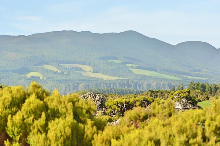 Mistérios Negros Trail: Half‑Day Volcanic Hike on Terceira Island
