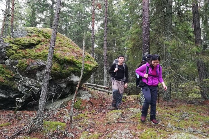 Winter Forest Hike near Stockholm: 1-Day Small-Group Nature Walk photo 2