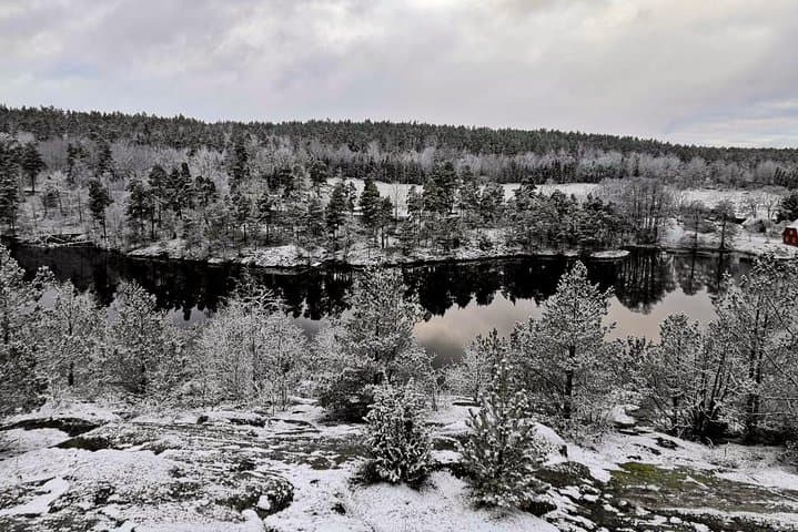 Winter Forest Hike near Stockholm: 1-Day Small-Group Nature Walk photo 3