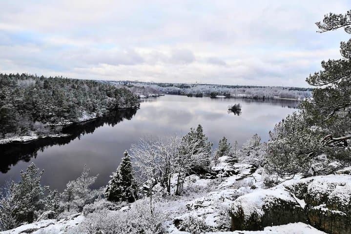 Winter Forest Hike near Stockholm: 1-Day Small-Group Nature Walk photo 4