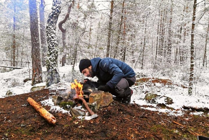 Winter Forest Hike near Stockholm: 1-Day Small-Group Nature Walk photo 6