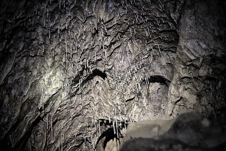 Canmore Caving Explorer Tour at Rat's Nest Cave — Guided Underground Adventure photo 6