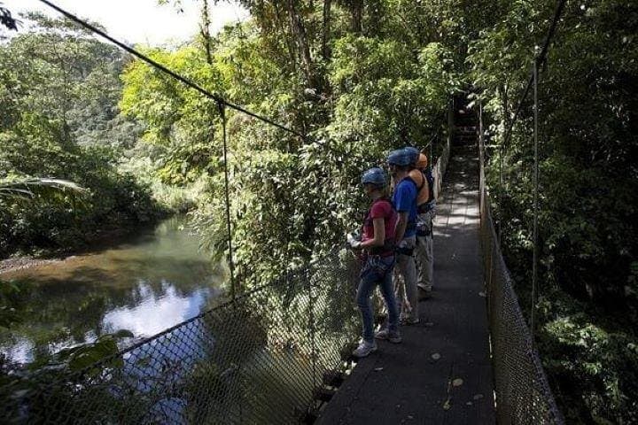 Braulio Carrillo Rainforest Zipline: Canopy Flight from San José photo 5