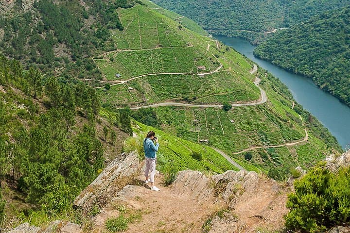 Ribeira Sacra Heroic Wines Private Tour From Santiago or Vigo