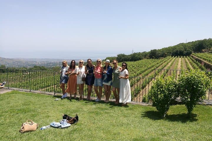 Etna Excursion and Lunch: Volcano Hike and Etna DOC Wine Tasting photo 2