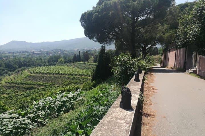 Etna Excursion and Lunch: Volcano Hike and Etna DOC Wine Tasting photo 3