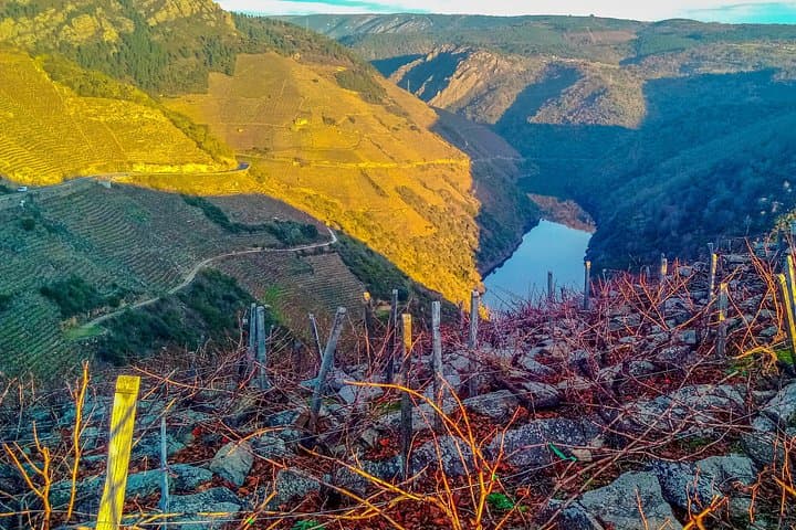 Ribeira Sacra Heroic Wines Private Tour From Santiago or Vigo photo 4