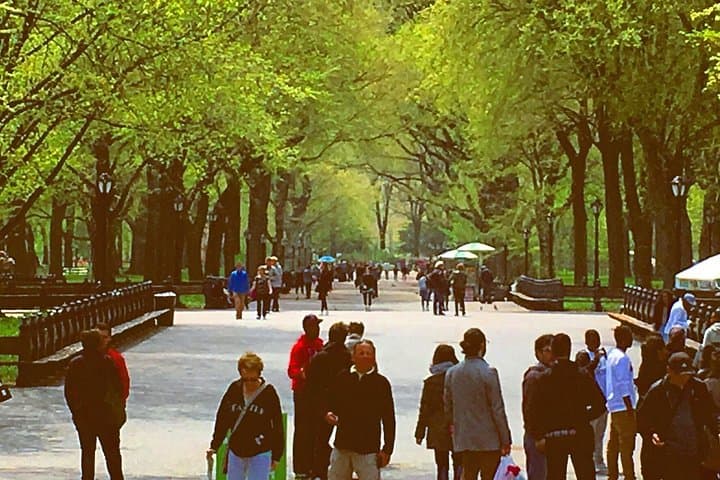 Pedicab Guided Tour of Central Park: A 40–60 Minute Urban Discovery photo 3
