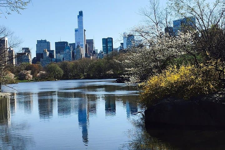 Pedicab Guided Tour of Central Park: A 40–60 Minute Urban Discovery photo 4