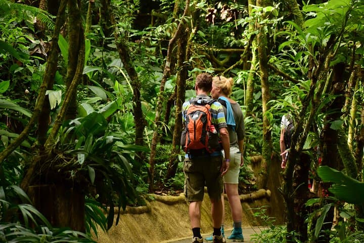 La Fortuna Waterfall Hike & Farm-to-Table Lunch — La Fortuna Park Experience photo 5