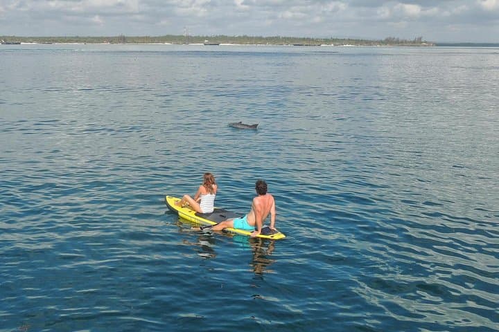 Snorkel & Canoe: Watamu Marine Park and Sudi Island Day Trip with Seafood Lunch photo 4