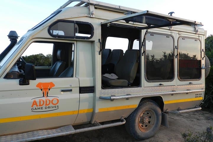 Morning Addo Elephant Safari — 5-hour Wildlife Drive from Port Elizabeth photo 3