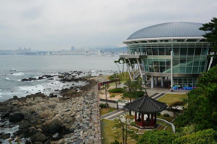 Explore Gyeongju's Ancient Wonders and Vibrant Busan on a Private Tour photo 2