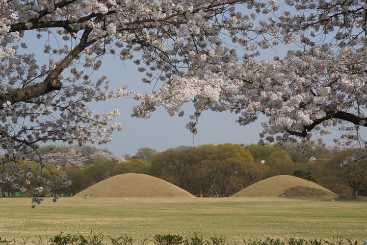 Gyeongju in 48 Hours: Private Two-Day Cultural Tour from Seoul photo 2