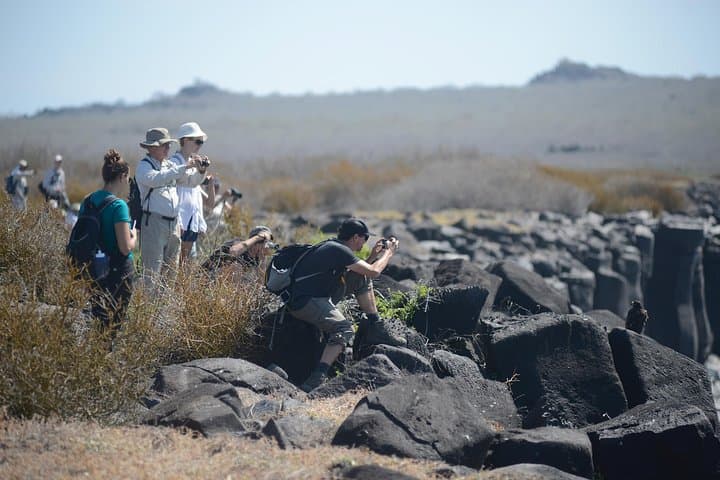 4-Day Galapagos Tour: Santa Cruz, Bartolomé & North Seymour Wildlife Adventure