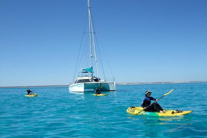 5-Night Ningaloo Reef Escape aboard Shore Thing from Coral Bay
