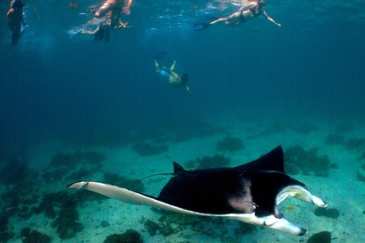 5-Night Ningaloo Reef Escape aboard Shore Thing from Coral Bay photo 6