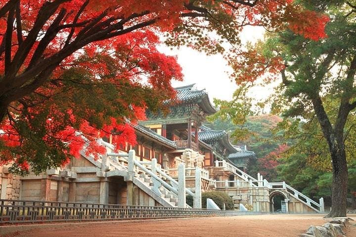 Gyeongju One-Day Highlights: Private Cultural Tour from Busan for Cruise Passengers