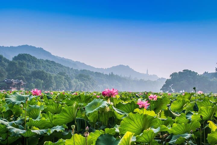 Hangzhou in a Day: Private Bullet Train Tour from Shanghai
