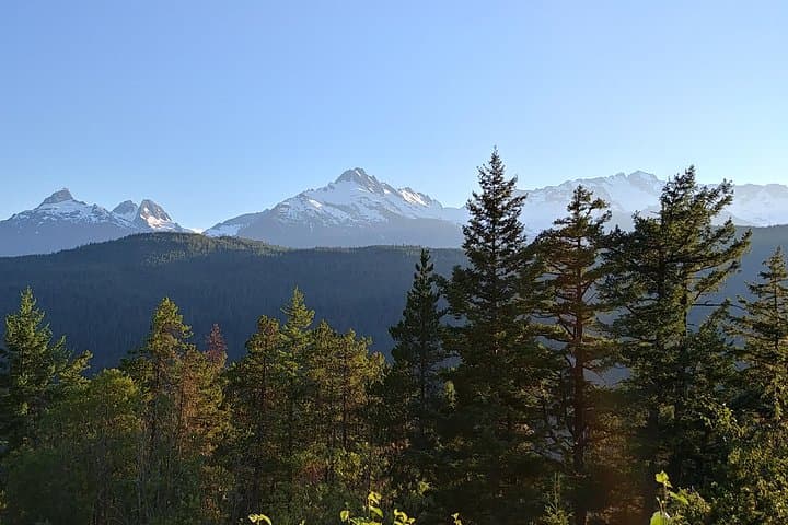 Four Days Through Vancouver, Victoria & Whistler — Private Coastal-to-Alpine Tour photo 3
