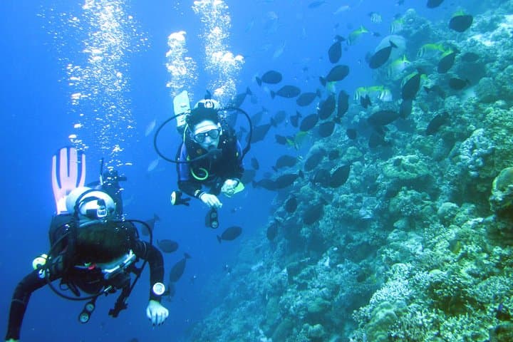 Mactan Fun-Boat Dive: Reef Gardens & House-Reef Dives for Certified Divers photo 2