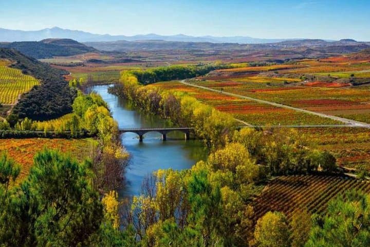 Full-Day Rioja Alta and Rioja Alavesa Wine Tour: Tastings, Vineyards & Local Lunch