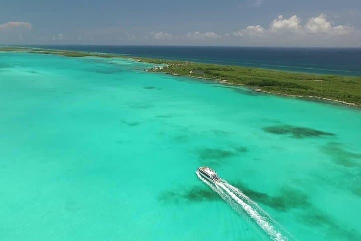 Isla Contoy & Isla Mujeres Day Trip from Cancun — Snorkel Ixlache and Protected Bird Island photo 4