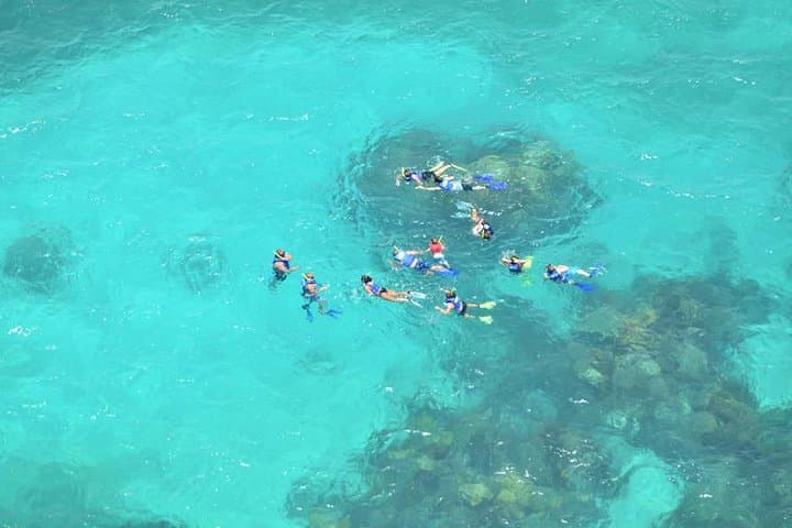Isla Contoy Eco-Adventure: Snorkel Ixlaché Reef & Isla Mujeres Day Trip from Cancun photo 5
