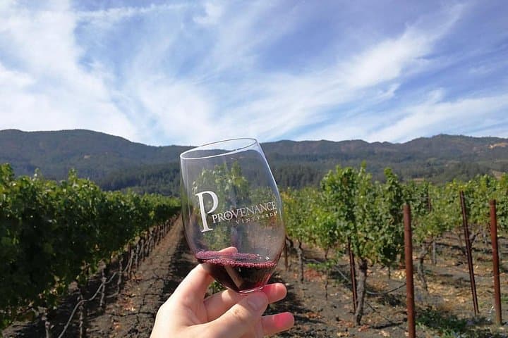 North Sonoma County Small-Group Wine Tour from Santa Rosa — Picnic & Back-Road Wineries photo 3