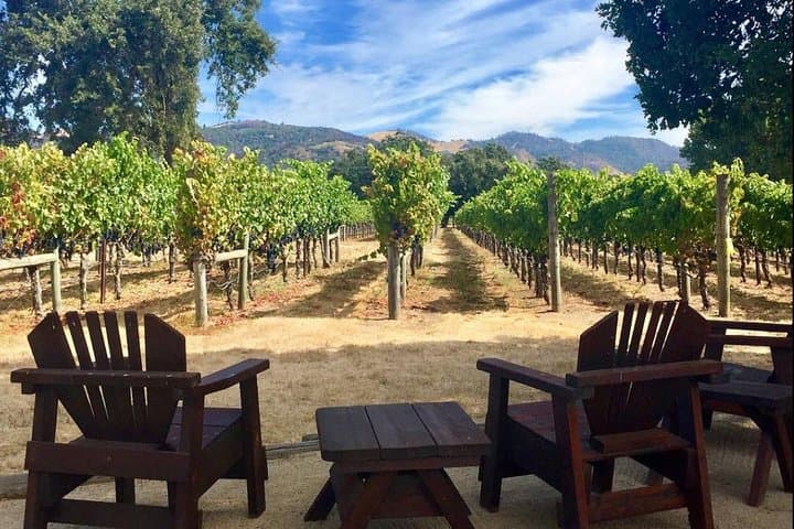 North Sonoma County Small-Group Wine Tour from Santa Rosa — Picnic & Back-Road Wineries photo 4