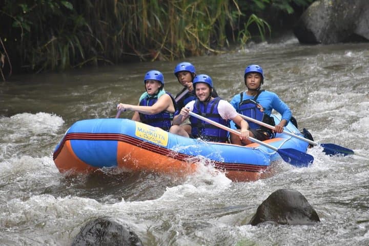 Ayung River Rafting in Bali — Half‑Day Jungle Rapids & Waterfall Trip photo 3