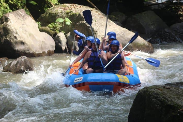 Ayung River Rafting in Bali — Half‑Day Jungle Rapids & Waterfall Trip photo 4