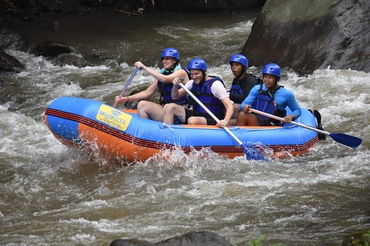 Ayung River Rafting in Bali — Half‑Day Jungle Rapids & Waterfall Trip photo 5