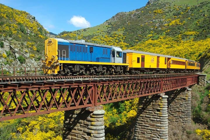 Taieri Gorge Railway & Dunedin Shore Excursion — Scenic Train Ride and City Highlights photo 2