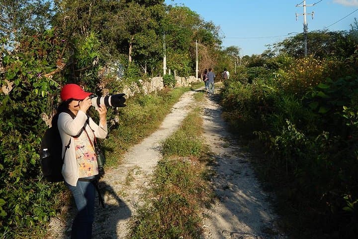 Private Birdwatching Tour on Cozumel Island: Jungle Trails & Endemic Birds photo 5