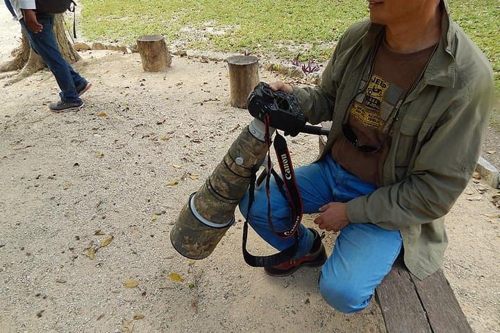 Private Birdwatching in Sian Ka'an: Playa del Carmen Guided Tour photo 6