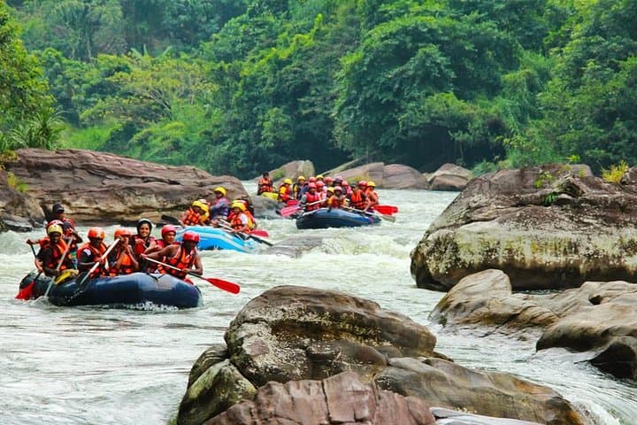 Conquer the Kelani: White Water Rafting in Kitulgala