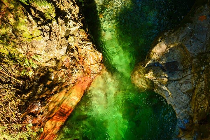 Lynn Canyon Photography Tour: Rainforest, Suspension Bridge & Waterfalls photo 3