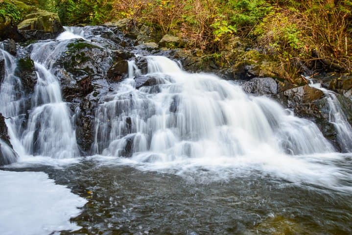 Ferry, Forest & Frame: Bowen Island Photography Hike from Vancouver photo 3