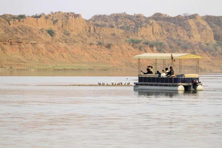 Ranthambore 2-Day Private Safari from Jaipur with Chambal River Safari